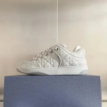 Dior Chunky Sneakers [4 styles], versión blanca